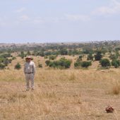  The Serengeti, TZ